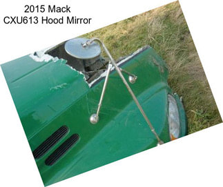 2015 Mack CXU613 Hood Mirror