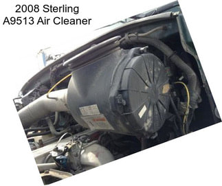 2008 Sterling A9513 Air Cleaner