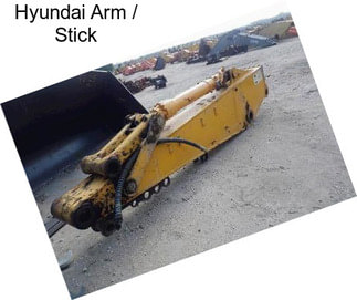 Hyundai Arm / Stick