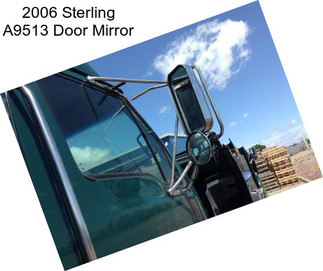 2006 Sterling A9513 Door Mirror