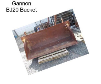 Gannon BJ20 Bucket