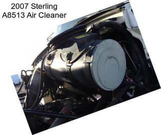 2007 Sterling A8513 Air Cleaner