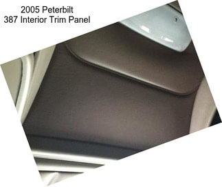 2005 Peterbilt 387 Interior Trim Panel