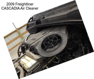 2009 Freightliner CASCADIA Air Cleaner