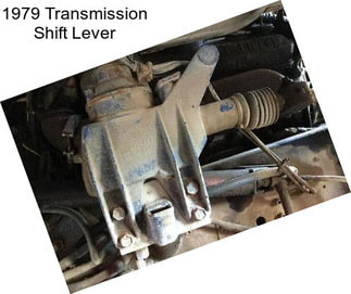 1979 Transmission Shift Lever