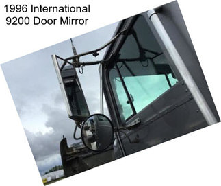 1996 International 9200 Door Mirror