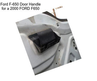 Ford F-650 Door Handle for a 2000 FORD F650