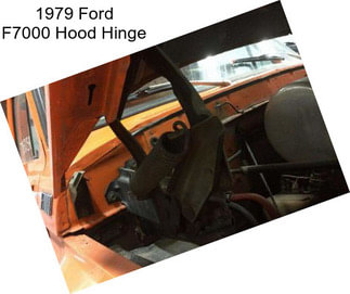 1979 Ford F7000 Hood Hinge