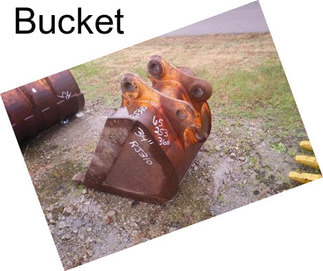 Bucket