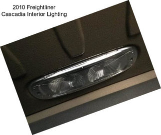 2010 Freightliner Cascadia Interior Lighting