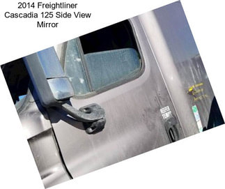 2014 Freightliner Cascadia 125 Side View Mirror