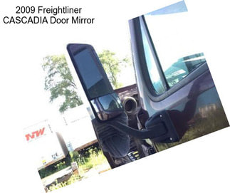 2009 Freightliner CASCADIA Door Mirror