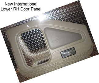 New International Lower RH Door Panel