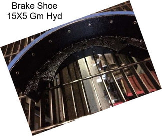 Brake Shoe 15X5 Gm Hyd