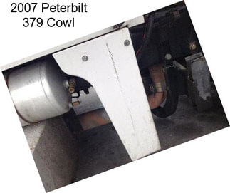 2007 Peterbilt 379 Cowl