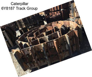 Caterpillar 6Y8187 Track Group