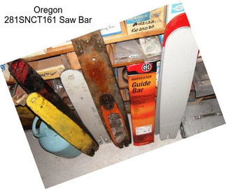 Oregon 281SNCT161 Saw Bar