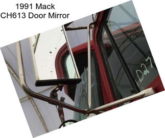1991 Mack CH613 Door Mirror