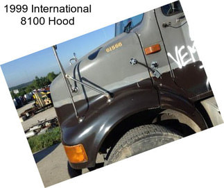 1999 International 8100 Hood