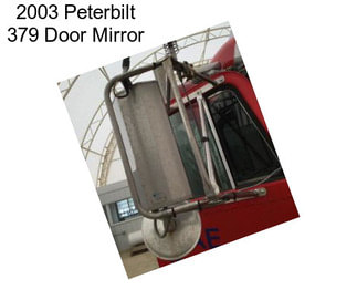 2003 Peterbilt 379 Door Mirror