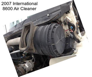 2007 International 8600 Air Cleaner