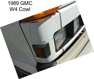 1989 GMC W4 Cowl