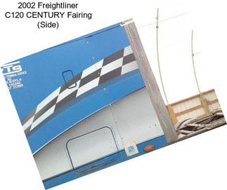 2002 Freightliner C120 CENTURY Fairing (Side)