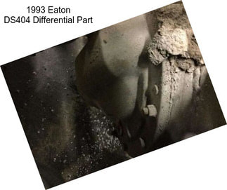 1993 Eaton DS404 Differential Part