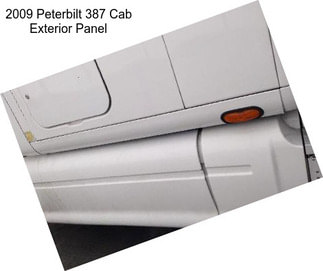 2009 Peterbilt 387 Cab Exterior Panel