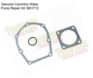 Genuine Cummins Water Pump Repair Kit 3801712