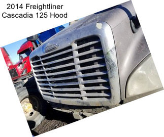 2014 Freightliner Cascadia 125 Hood