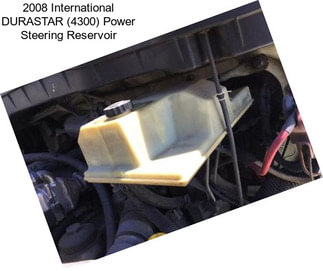 2008 International DURASTAR (4300) Power Steering Reservoir