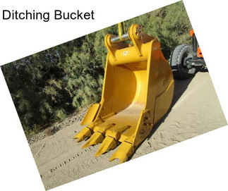 Ditching Bucket