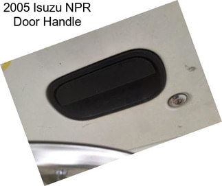2005 Isuzu NPR Door Handle