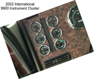 2002 International 9900 Instrument Cluster