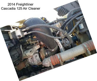 2014 Freightliner Cascadia 125 Air Cleaner