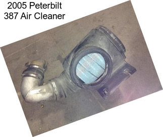 2005 Peterbilt 387 Air Cleaner