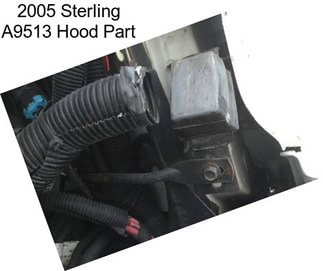 2005 Sterling A9513 Hood Part