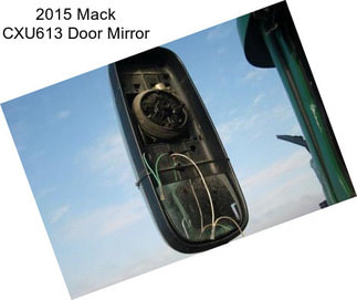 2015 Mack CXU613 Door Mirror