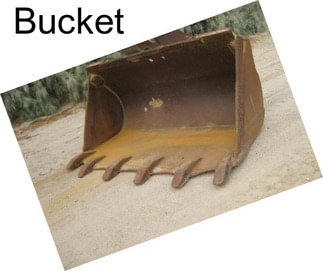 Bucket