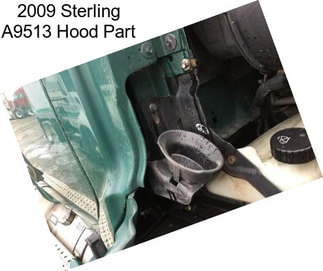 2009 Sterling A9513 Hood Part