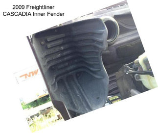 2009 Freightliner CASCADIA Inner Fender