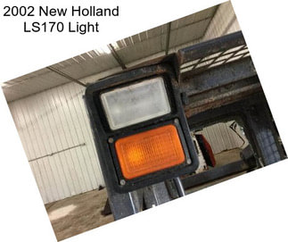 2002 New Holland LS170 Light