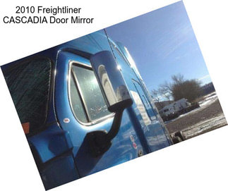 2010 Freightliner CASCADIA Door Mirror