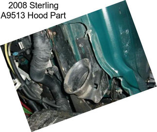 2008 Sterling A9513 Hood Part