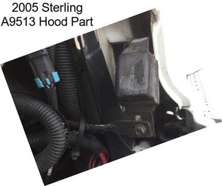 2005 Sterling A9513 Hood Part