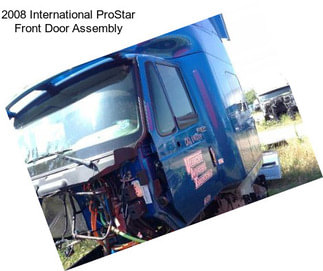 2008 International ProStar Front Door Assembly