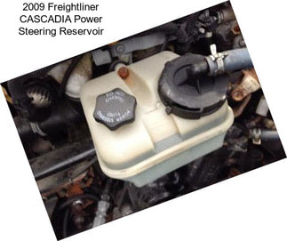 2009 Freightliner CASCADIA Power Steering Reservoir