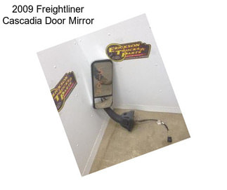 2009 Freightliner Cascadia Door Mirror