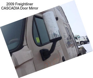 2009 Freightliner CASCADIA Door Mirror